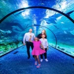 Aquarium-Abu-Dhabi-01